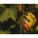 Grasa de Cotnari - Delumani - Magazin Romanesc