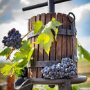 Vin rosu Sange de Taur - Delumani - Magazin Romanesc