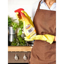 Triumf Cuptoare Microunde, Farmec - Delumani - Magazin Romanesc